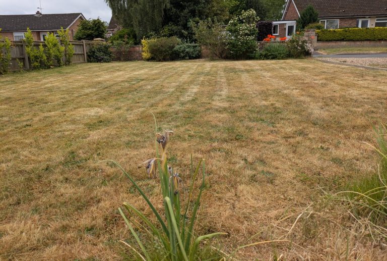 Gardener Norwich