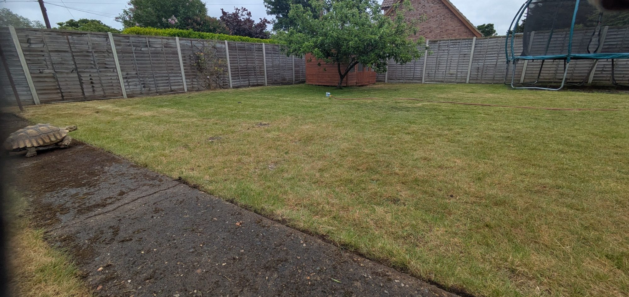 Garden Maintenance Norwich
